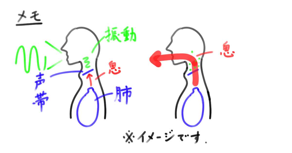 吐きすぎ厳禁!歌唱時に“息の量を減らす”とはどれくらい? 吐きすぎ厳禁!歌唱時に“息の量を減らす”とはどれくらい?